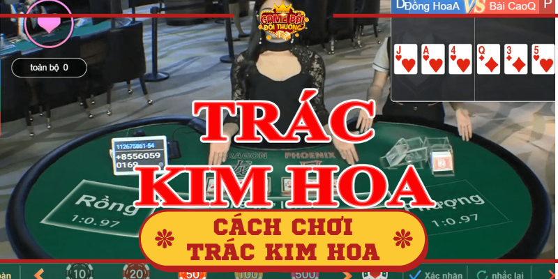 Tìm hiểu về Trác Kim Hoa và cách tính điểm trong Trác Kim Hoa