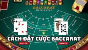 Cách chơi Baccarat như thế nào? Giải đáp chi tiết