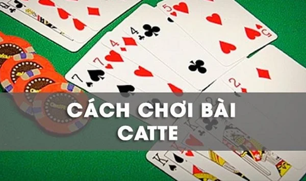 Catte có mấy lá? Cách chơi bài Catte