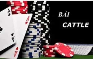 Game bài catte: Luật chơi, cách chơi, mẹo hay