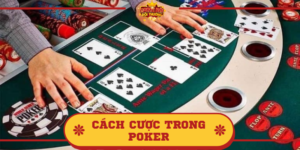 Cách cược trong Poker có những hành động nào? Giải đáp