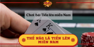 Thế nào là Tiến Lên Miền Nam? Giải đáp chi tiết