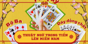 Thuật ngữ trong Tiến Lên Miền Nam – Giải đáp ý nghĩa