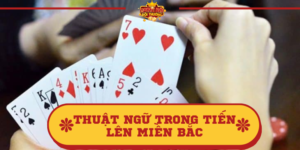 Thuật ngữ trong Tiến lên miền Bắc chi tiết và ý nghĩa