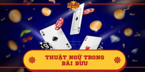 Thuật ngữ trong Bài Bửu phổ biến nhất? Thông tin ý nghĩa