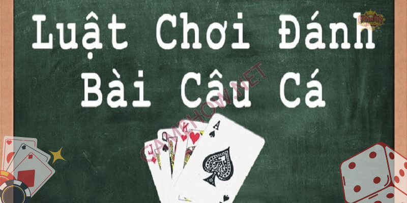 Thế nào là Bài Câu Cá? Học hỏi và vận dụng kinh nghiệm từ chuyên gia