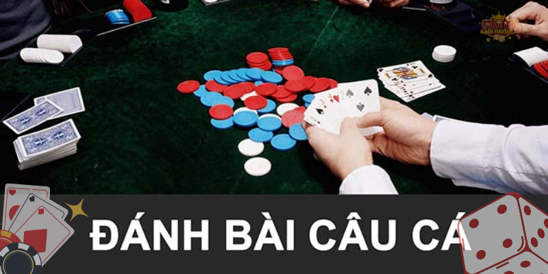 Cách tính điểm trong bài Câu Cá quy định như thế nào?