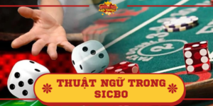 Thuật ngữ trong Sicbo phổ biến nhất? Giải đáp nhanh