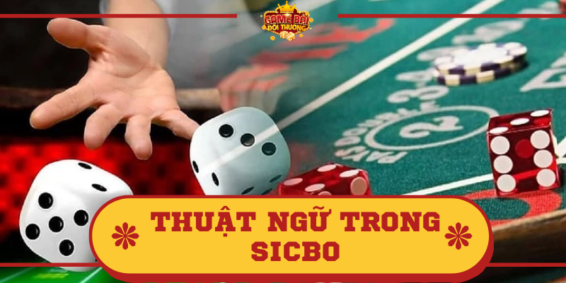 Thuật ngữ trong Sicbo là gì? Tìm hiểu thông tin về bài Sicbo