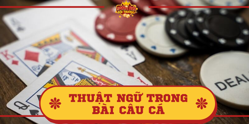 Tìm hiểu thông tin về bài Câu Cá và các thuật ngữ trong Bài Câu Cá