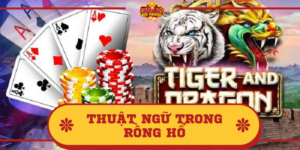 Thuật ngữ trong Rồng Hổ phổ biến nhất và ý nghĩa