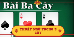 Thuật ngữ trong 3 cây tổng hợp và giải đáp ý nghĩa