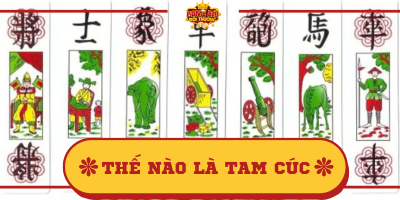 Thế nào là Tam cúc giải đáp qua khái niệm, tên gọi