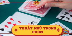 Thuật ngữ trong Phỏm phổ biến nhất – Ý nghĩa của nó