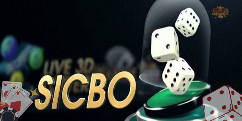 Thế nào là thắng trong Sicbo? Các hình thức cá cược trong Sicbo