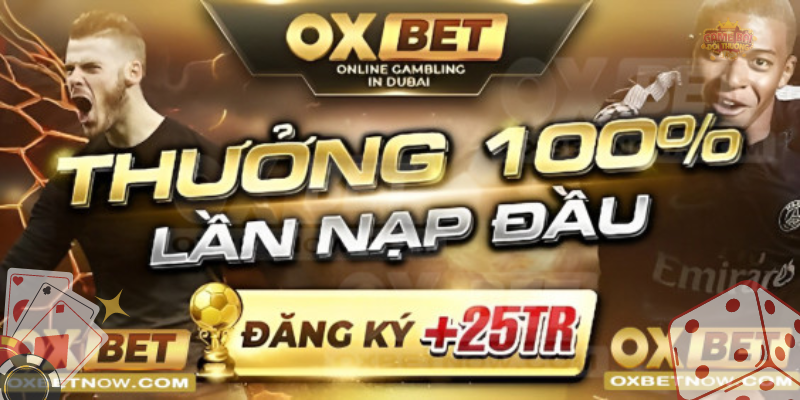 Giới thiệu đại lý Oxbet hấp dẫn, hoa hồng cao